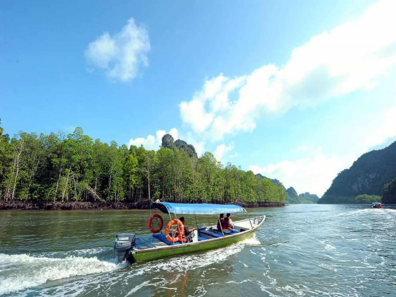 tarikan menarik di langkawi pakej mangrove tour