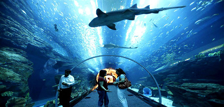 best things to do in langkawi underwater world langkawi