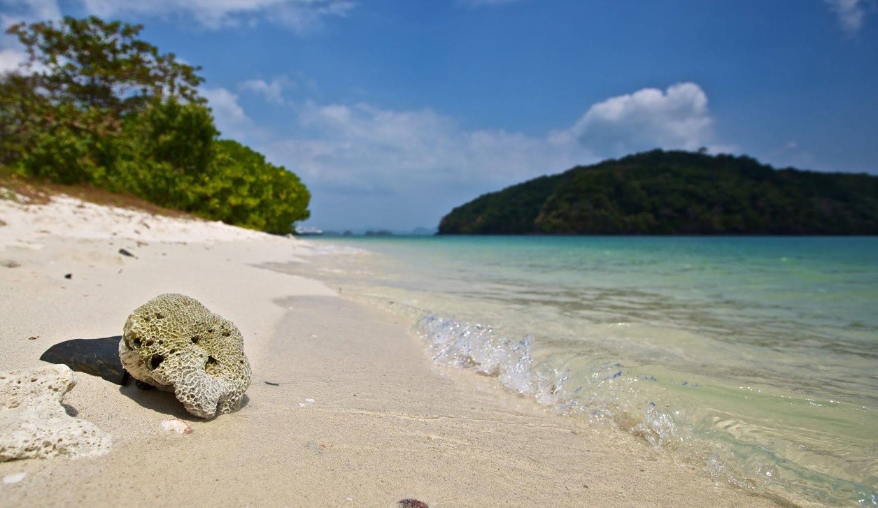 best snorkeling and diving spots in langkawi pulau kentut