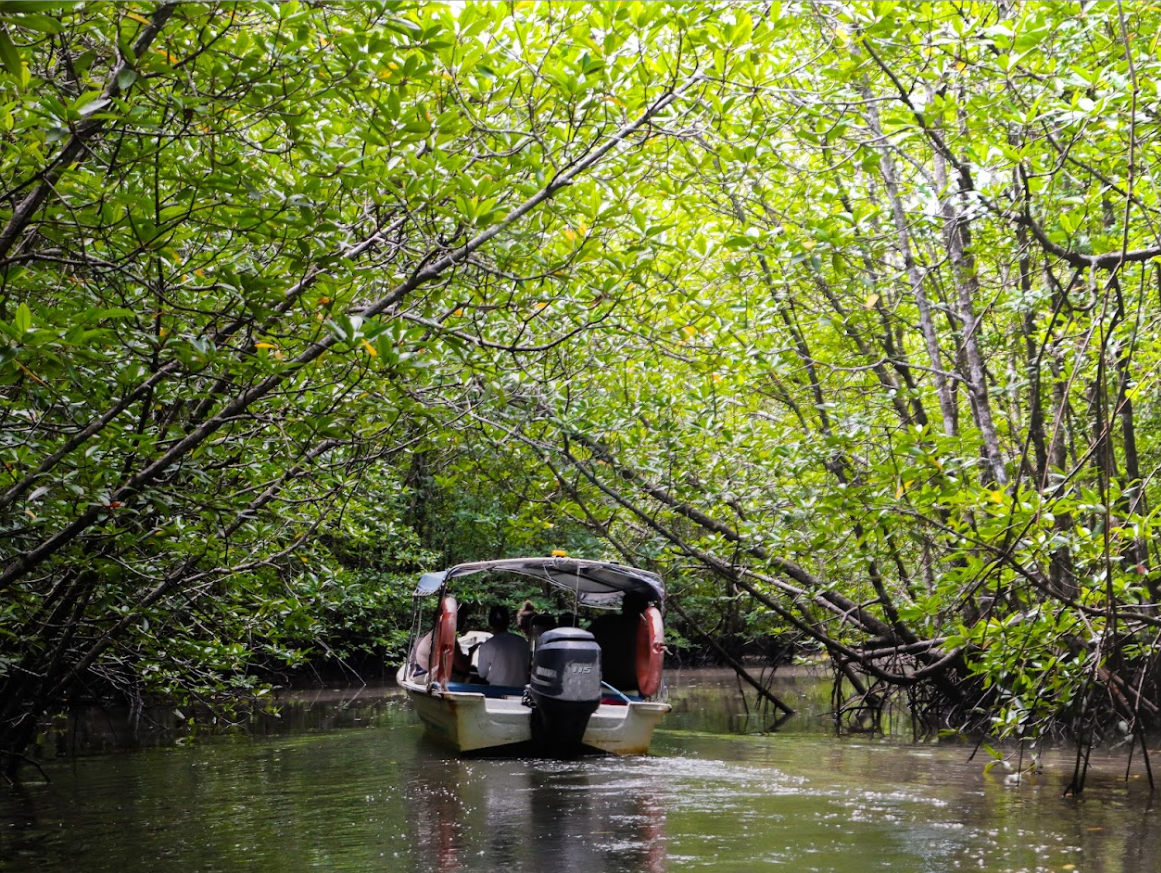 Kubang Badak BioGeo Trail Booking Online